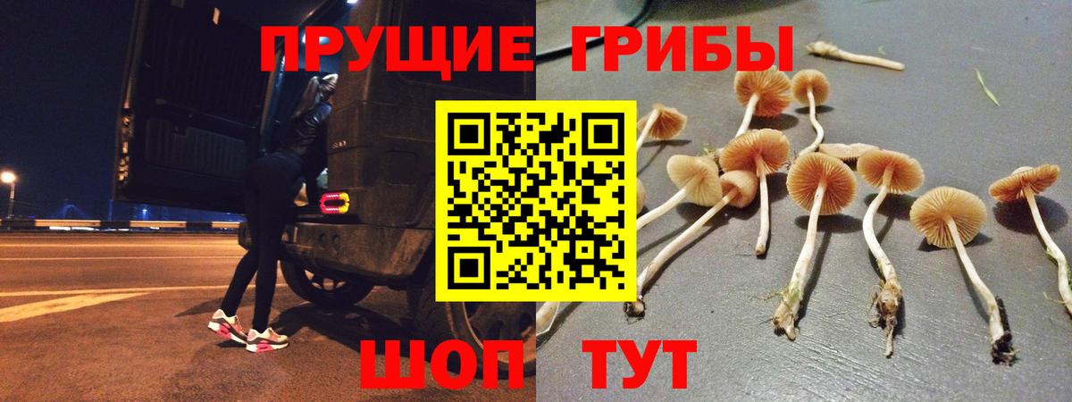 Псилоцибиновые грибы Psilocybine cubensis  Вход с VPN  Отрадное 